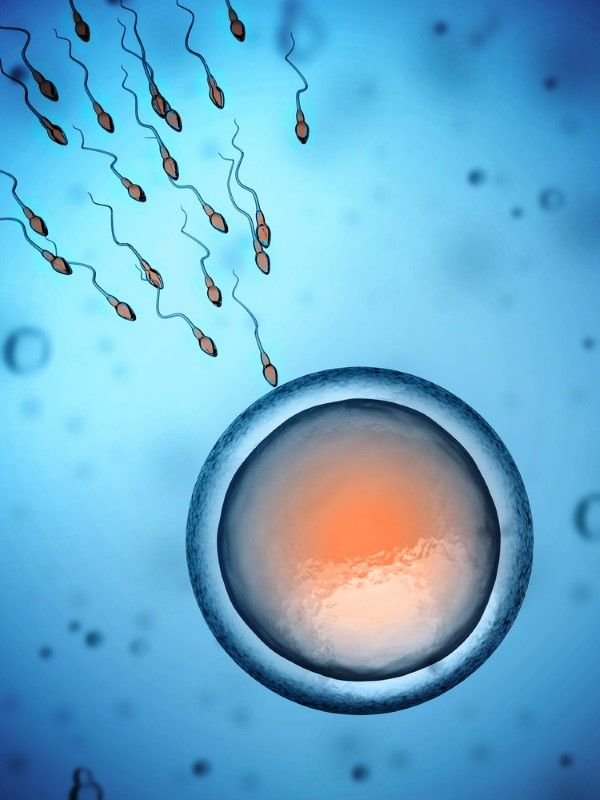 What Are the Main Causes of Infertility?
